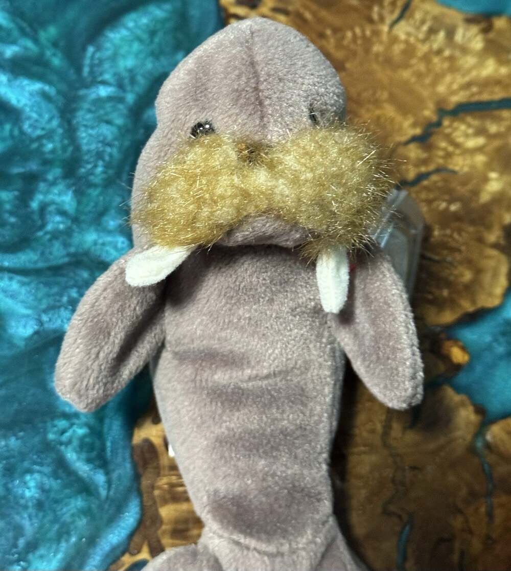 Ty Beanie Baby Jolly the Walrus PVC Filled 1996
